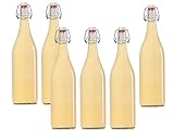 hocz 10er Set Bügelflaschen Bügelflasche Glasflaschen mit Bügelverschluss 1L 1000 ml Typ A zum Selbstbefüllen