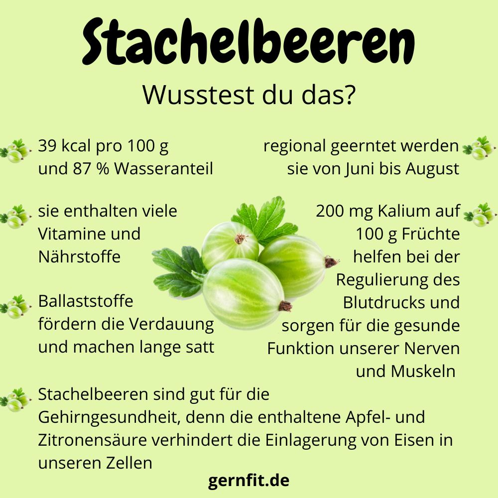 Infografik Stachelbeeren