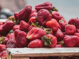 Blogparade Erdbeerrezepte - Erdbeeren in einer Obstkiste