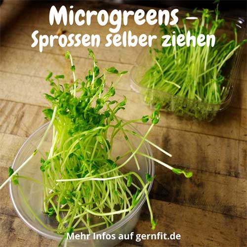Microgreens Sprossen selber ziehen
