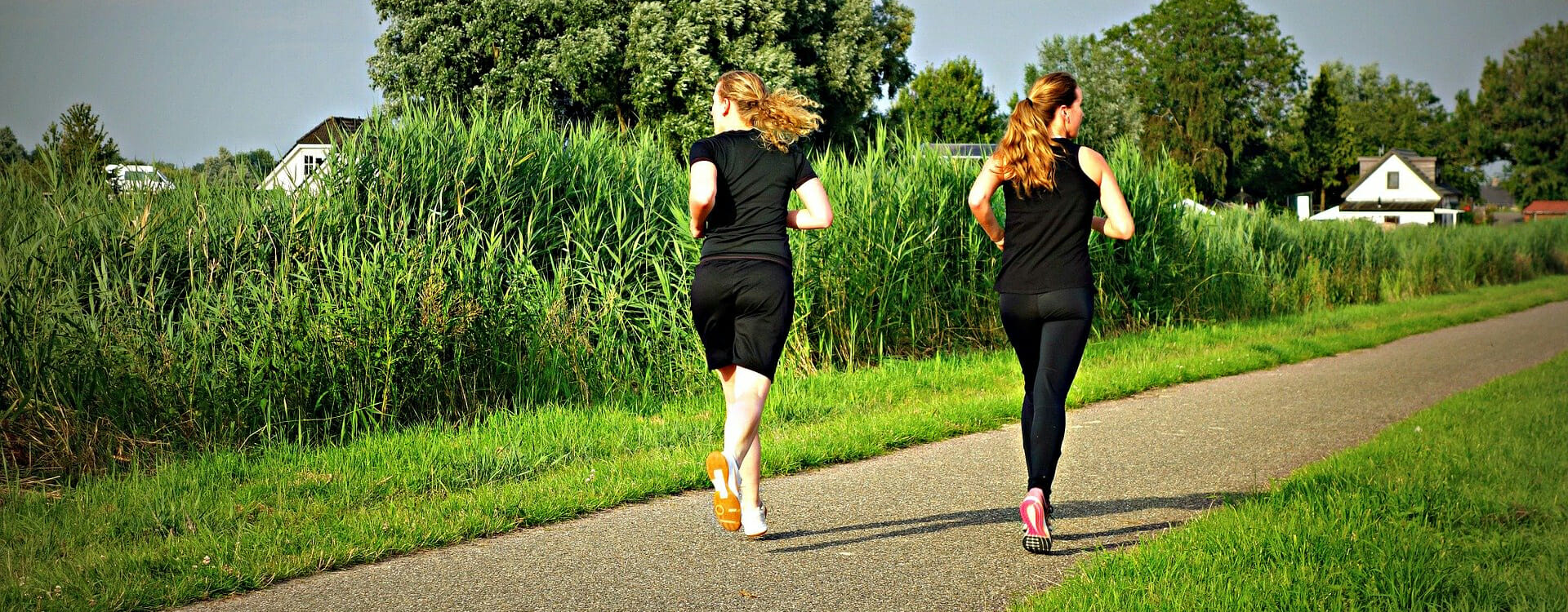 Joggen für Anfänger - Zwei joggende Frauen im Park.