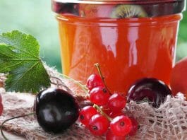 10 Tipps zum Kochen von Marmelade, Konfitüre und Gelee. Konfitüre im Glas und Früchte davor.