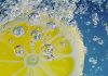 Wassersprudler –Zitronenscheibe in Sprudelwasser