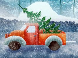 Weihnachtsgrüße per Whatsapp versenden: Weihnachtsmann auf Motorroller und Weihanchstbaum auf Lastwagen