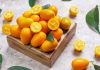 Zitrusfrüchte – Kumquats