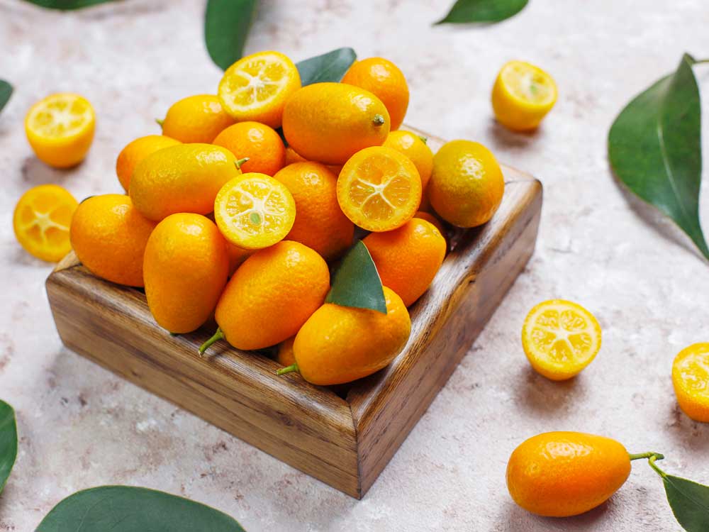 Zitrusfrüchte – Kumquats