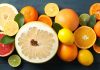 Zitrusfrüchte – Orangen, Zitronen, Mandarinen, Limetten Grapefrucht